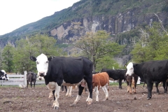 argentina-trek-holiday