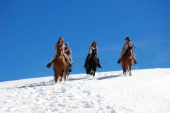 horses-argentina