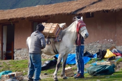 machu-piccu-bliss