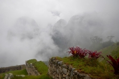 machu-piccu-tours