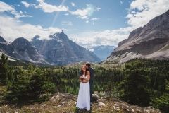 marvel-pass-weddings2