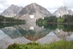 marvel-pass-weddings4