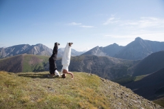 Martha's Heli Weddings