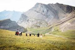 Banff Weddings