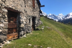 ortler-italy-6