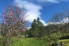 ortler-italy-9