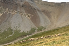 heli-hiking-charles-stewart14